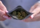 Online Marijuana Shops Make It Easy for Minors to Buy, Study Finds
